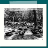 Catoctin State Park: 
Picture of creek on tripod 
with open shutter